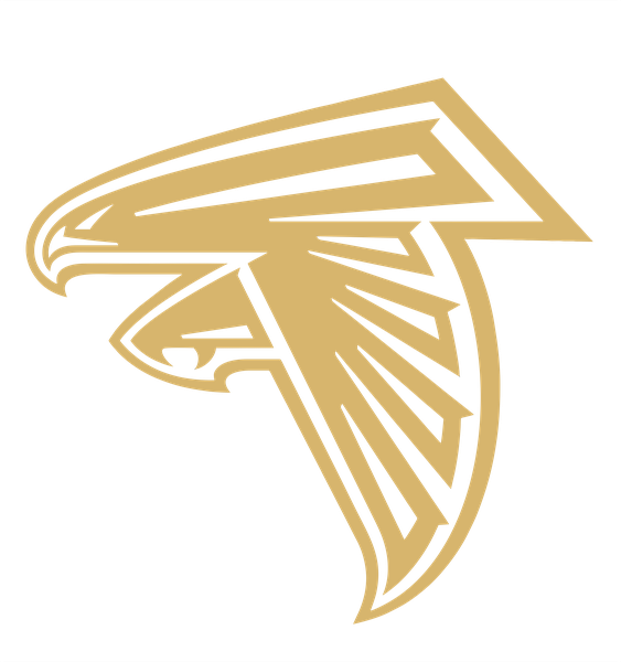 Falcons ю14