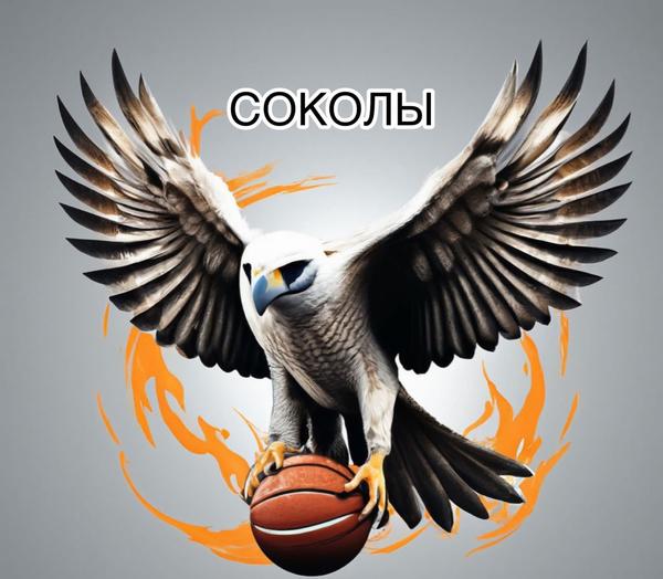 СОКОЛЫ