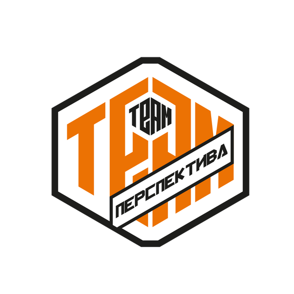 Team Team "Перспектива - Шелепиха"