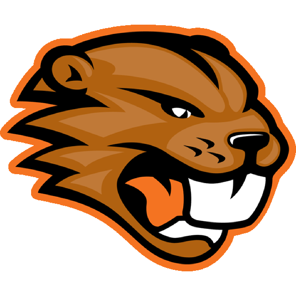 Beavers