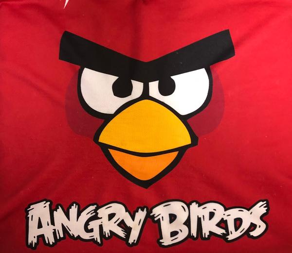 Angry Birds 2013