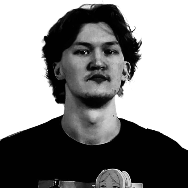 Чистополов Дмитрий