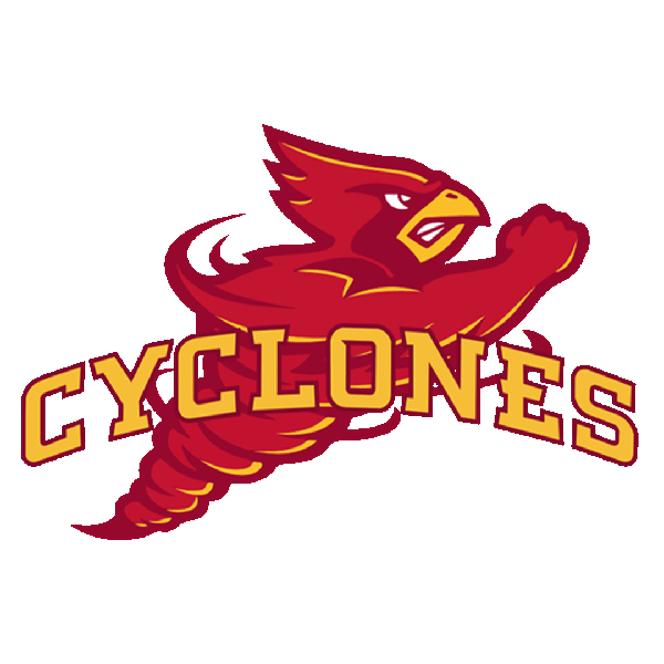 Cyclones
