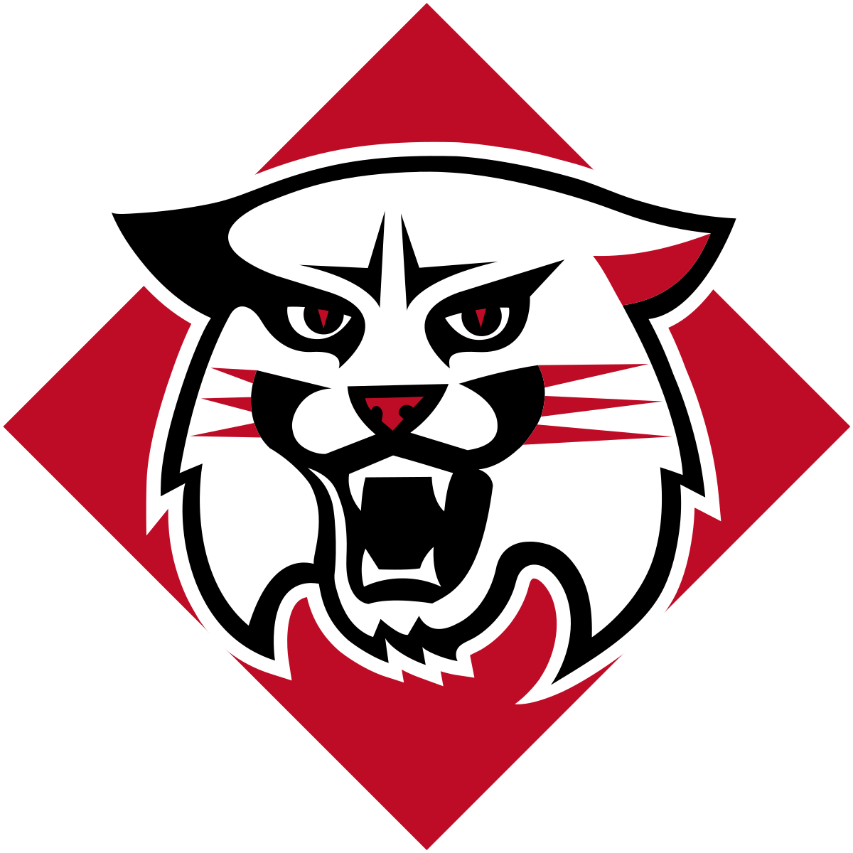 https://fs.mtgame.ru/Davidson_Wildcats_logo.svg.png