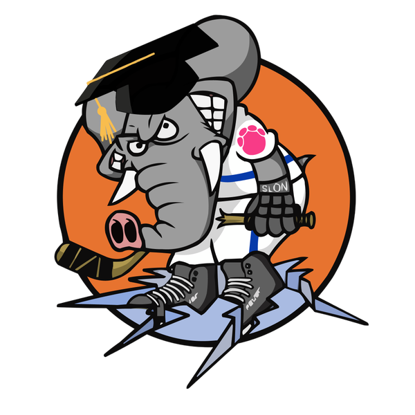 Академия Слонов