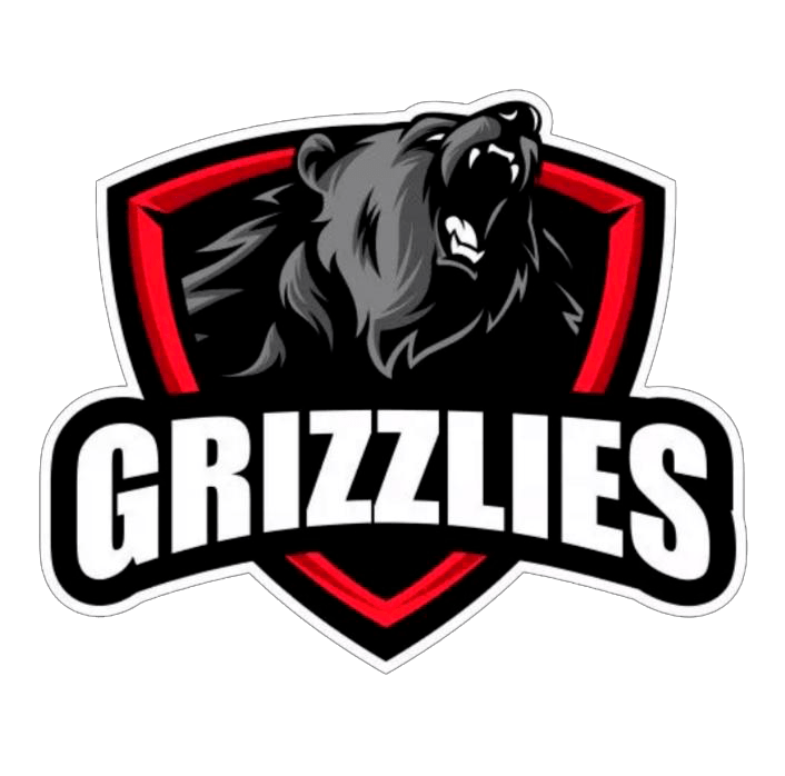 https://fs.mtgame.ru/Grizzlies-min.png