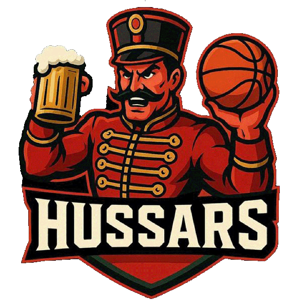 Гусары