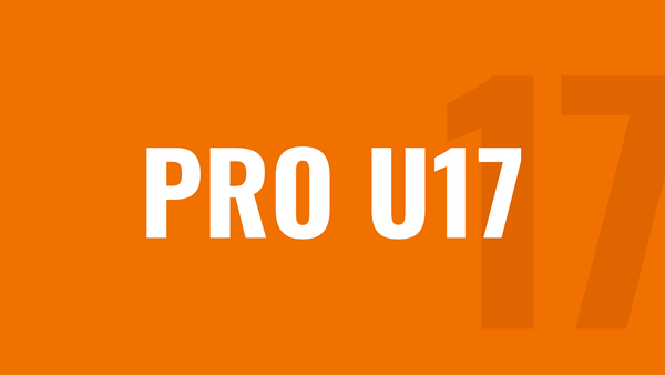 PRO 2010-2011