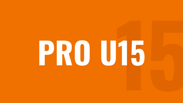 PRO 2012-2013