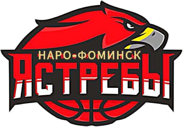 Ястребы
