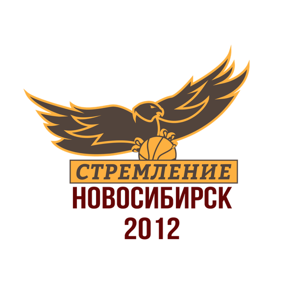 Сборная Новосибирска 2012