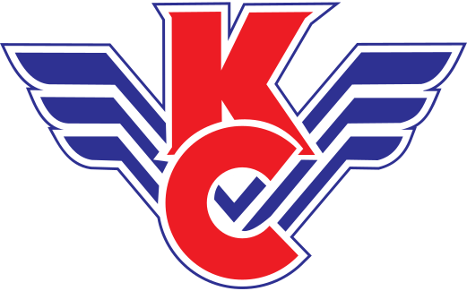 Крылья советов 1