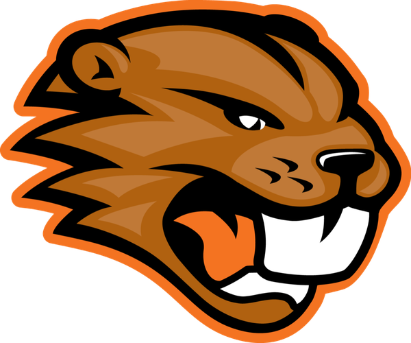 Beavers 2