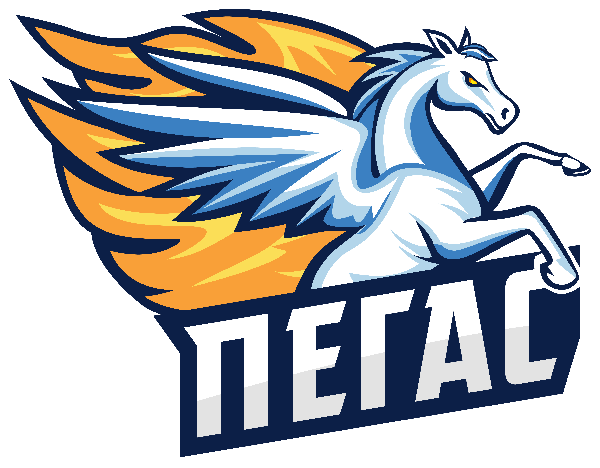 ДВИЖЕНИЕ ВВЕРХ «Пегас»