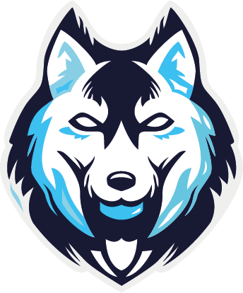 Moscow Huskies