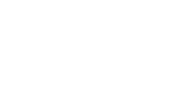 НС Seline