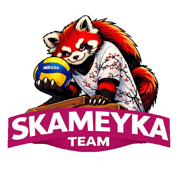 Skameyka Team