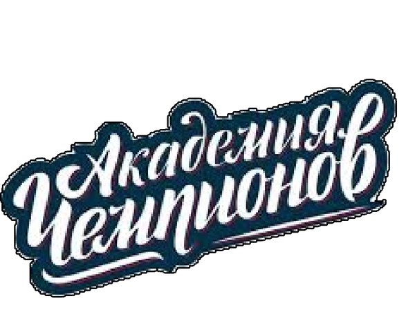 Школьный Спортивный Клуб "Академия Чемпионов 58"