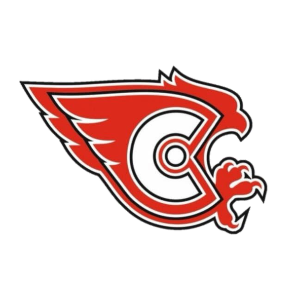 Сокол 2012