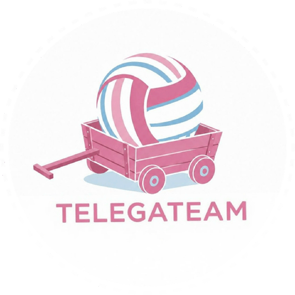 TelegaTeam