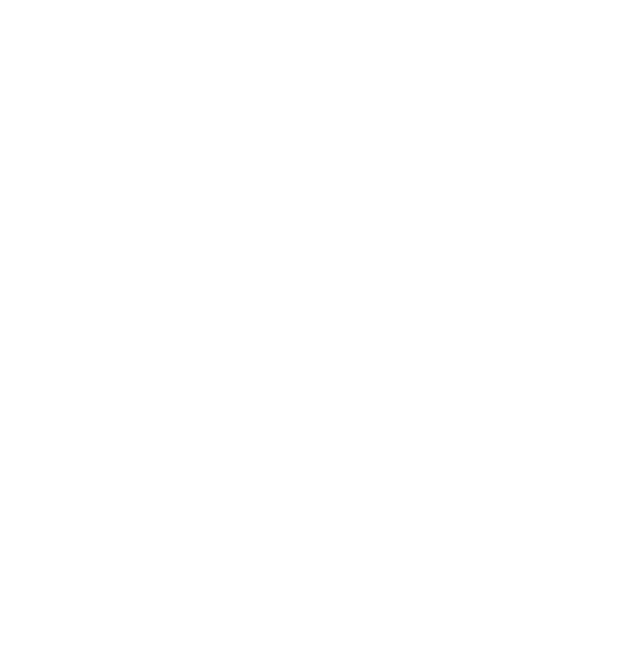 ЦРХ Тигры Москвы