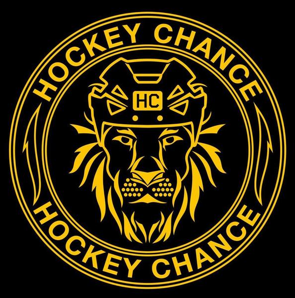 Hockey Chance 4х4 - 2016 г.р.|22.01| 1