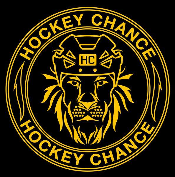 Чемпионат Лиги Hockey Chance - 2012 г.р.