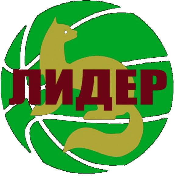 Лидер Лидер