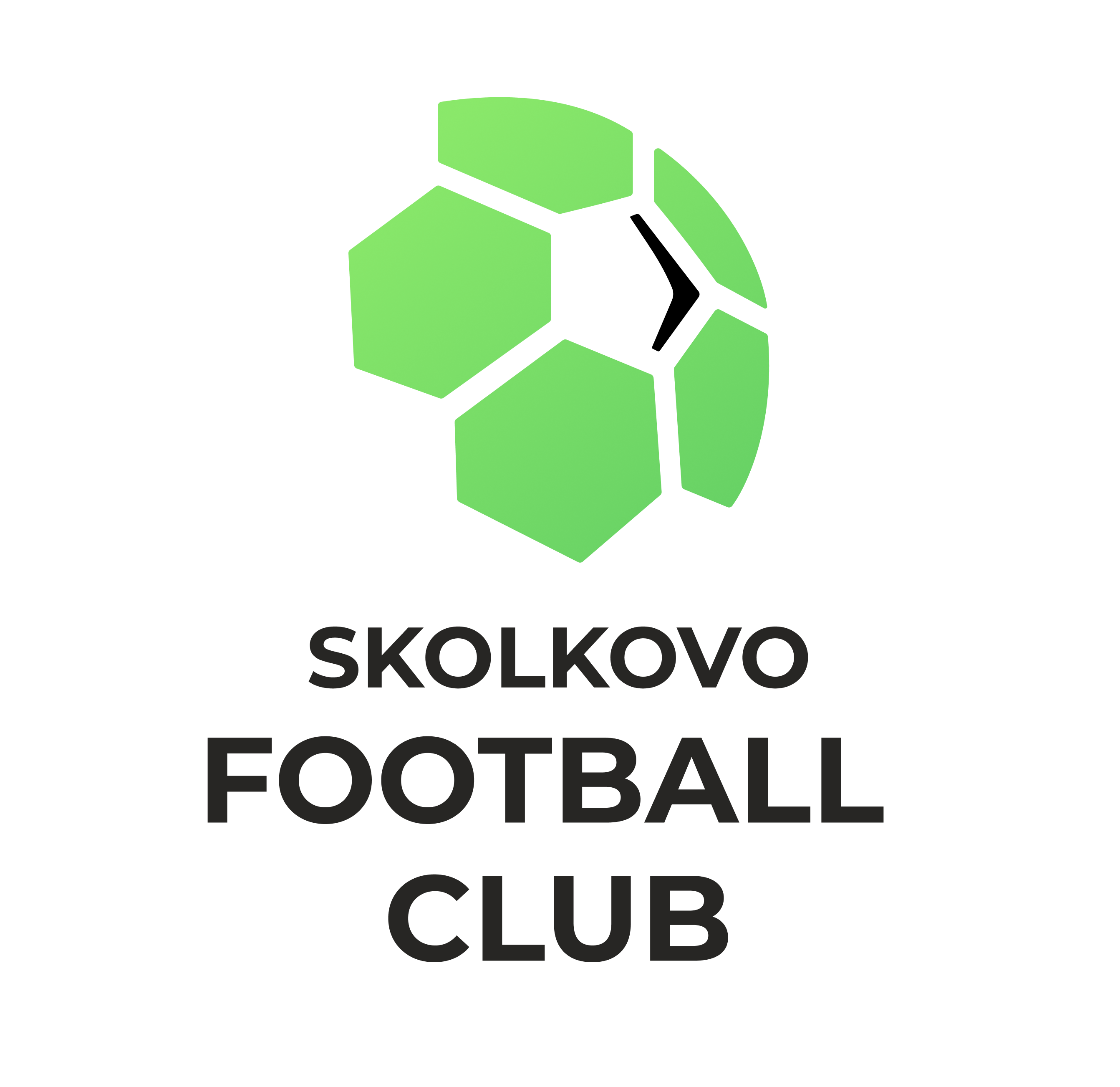 Skolkovo football club
