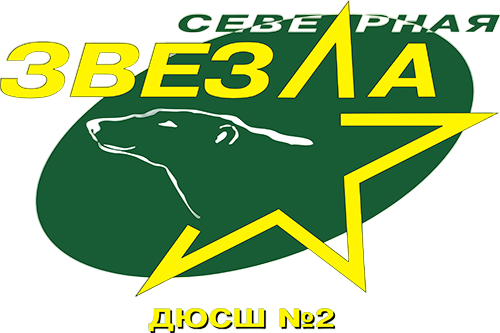 Северная Звезда 2015