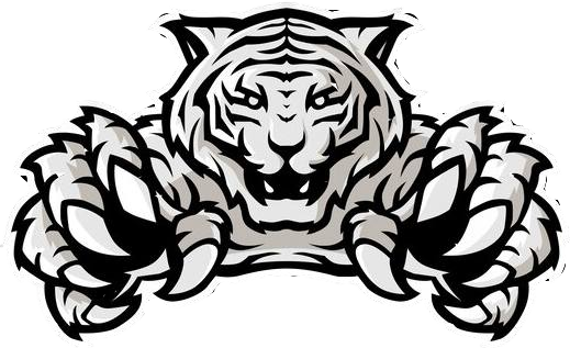 Белые Тигры 3