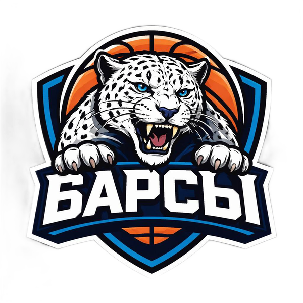 Барсы U11