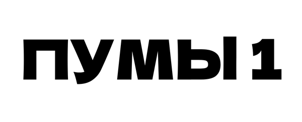 Пумы 1 Пумы 1