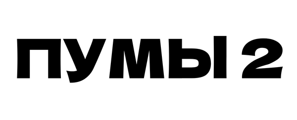 Пумы 2