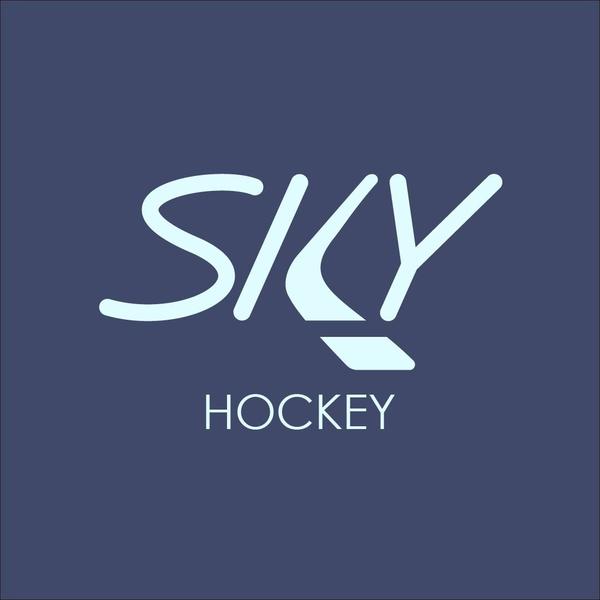 Sky Hockey 2016